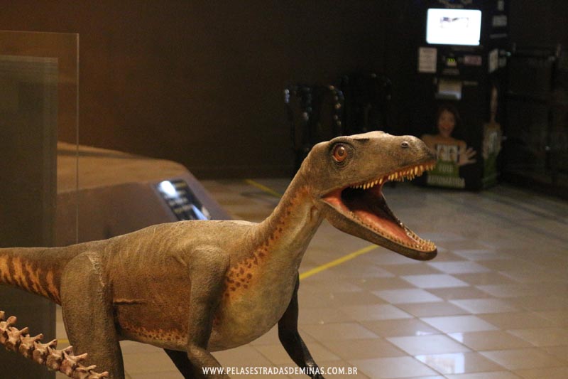 Dinossauro - Museu de Ciências Naturais da PUC Minas 