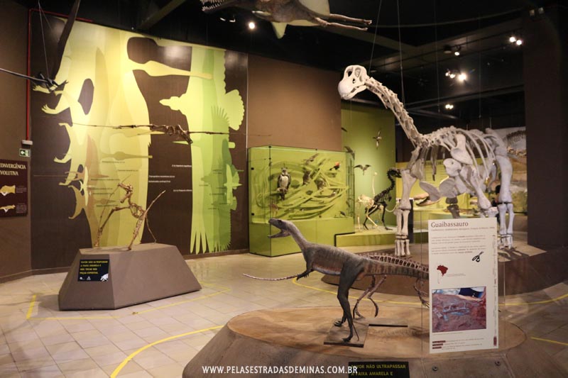 Dinossauros do Museu de Ciências Naturais da PUC Minas 