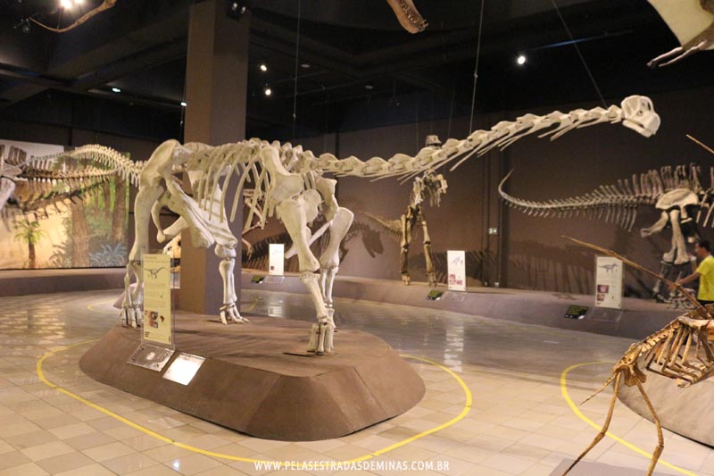 Dinossauros do Museu de Ciências Naturais da PUC Minas 