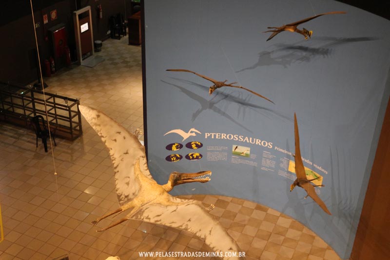 Pterossauros do Museu de Ciências Naturais da PUC Minas 