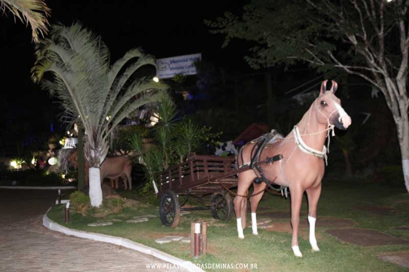 Cavalo com carroça - Memorial Cotochés 