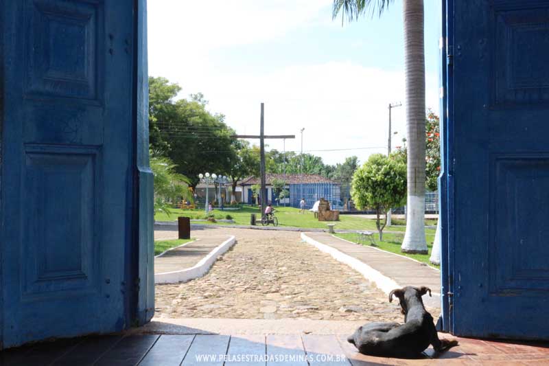 Cocais - MG - Cachorro na porta da Igreja Matriz de Nossa Senhora do Rosário observa a Praça