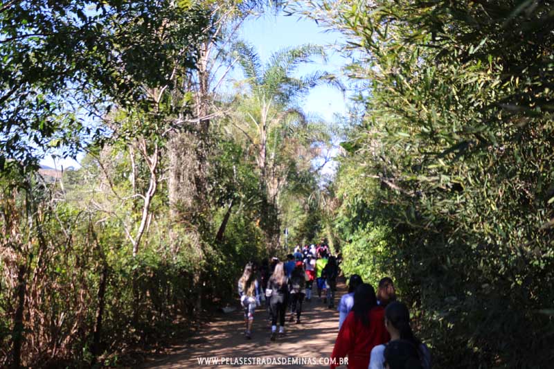 Caminhada pelas Estradas de Macacos - Trilha Marumbé - Nova Lima Entre Trilhas