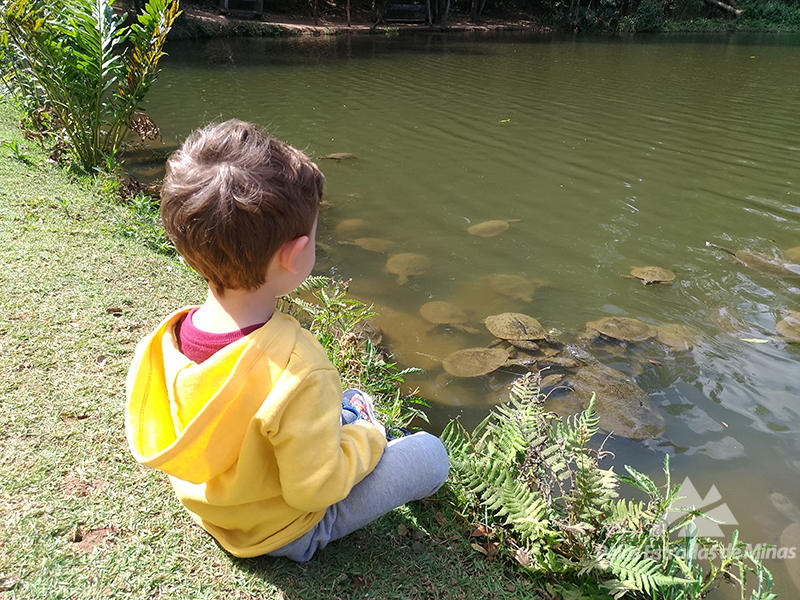 Crianças em Contato com a natureza no  Parque Lagoa do Nado em BH